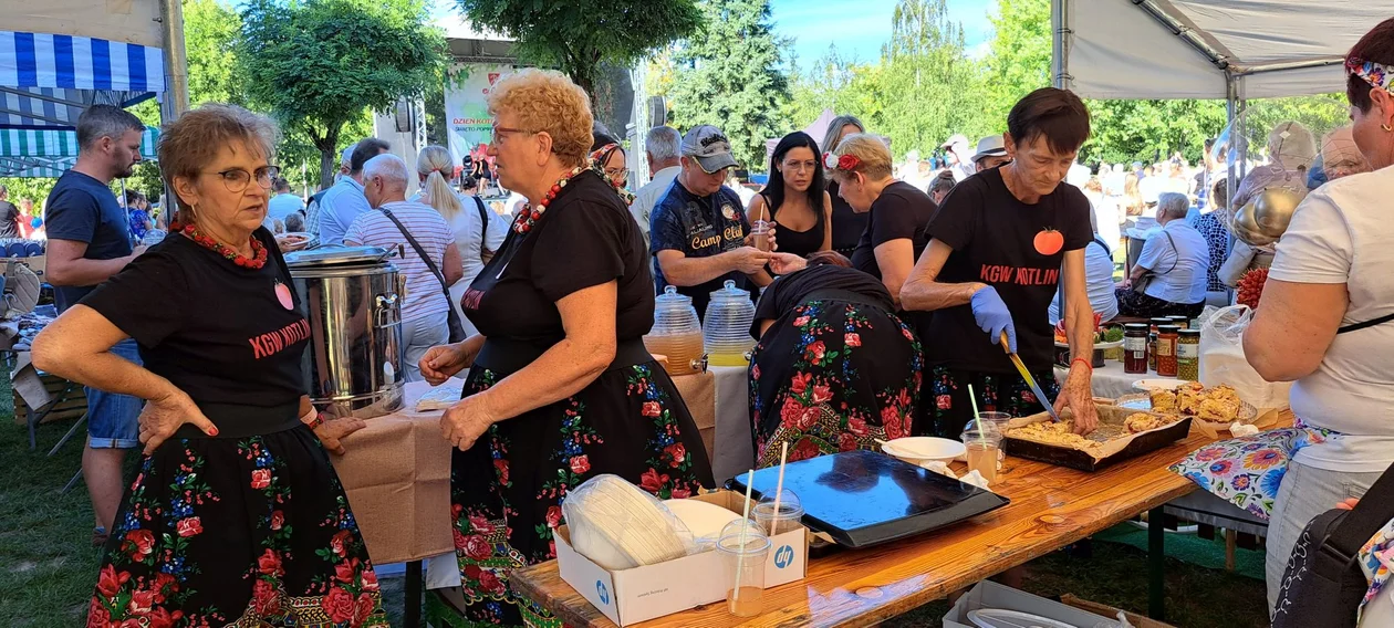 Tylu imprez w weekend jeszcze nie było. Zobaczcie, co się będzie działo - Zdjęcie główne