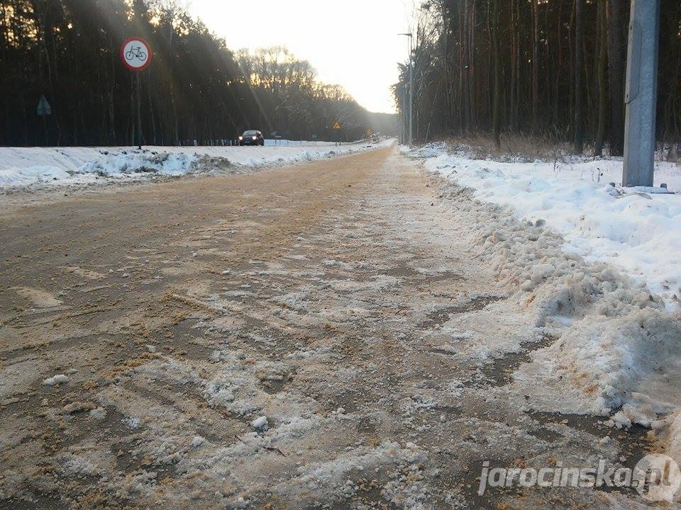 Jarocin. Zimowa ścieżka rowerowa do Mieszkowa - Zdjęcie główne