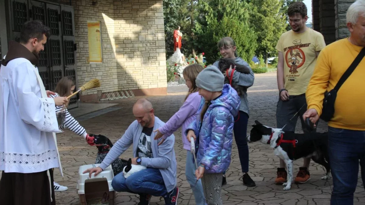 Odpust w roku jubileuszowym dla franciszkanów. W piątek z błogosławieństwem zwierząt [ZDJĘCIA] - Zdjęcie główne