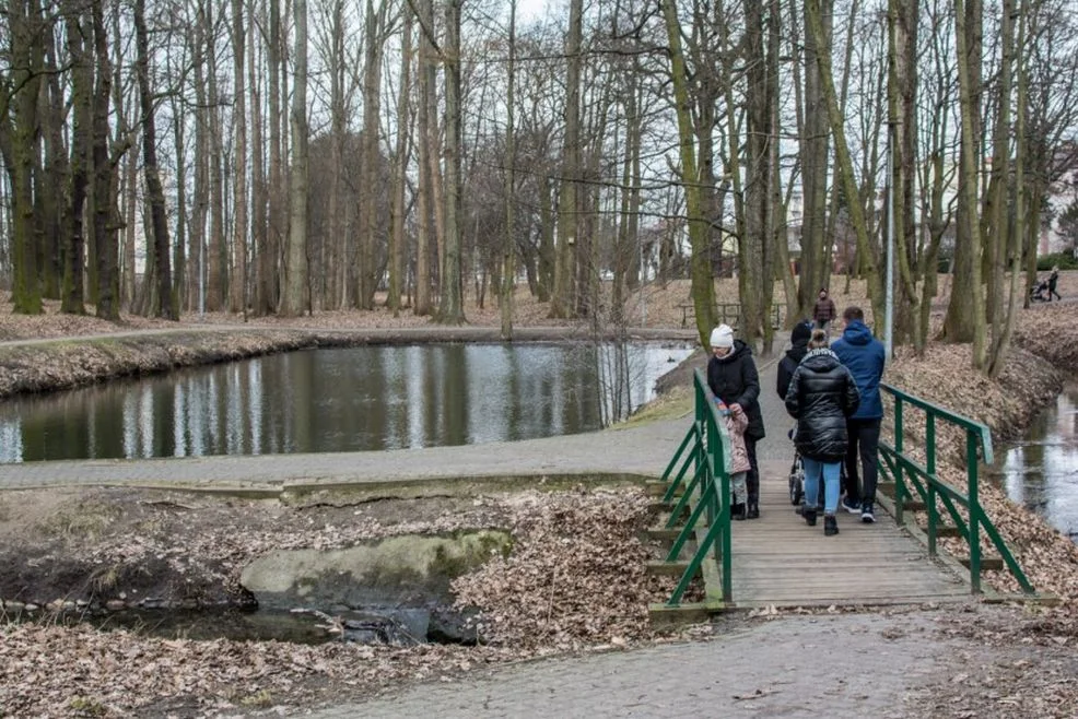 Park przy ul. Szubianki w Jarocinie czeka na rewitalizację [ZDJĘCIA] - Zdjęcie główne