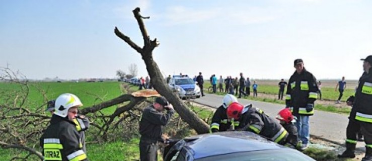 BMW uderzyło w drzewo [WIDEO]  - Zdjęcie główne