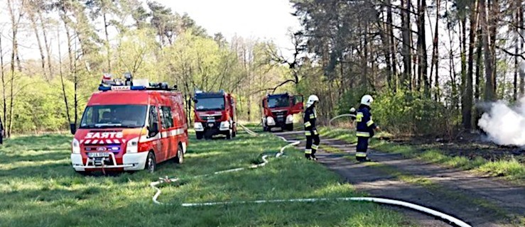 Ogromne zagrożenie pożarowe w lasach! Leśnicy i strażacy apelują o ostrożność - Zdjęcie główne