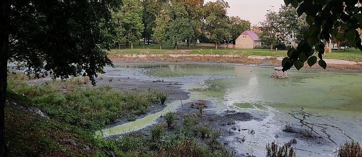 Mieszkaniec: W parku nie da się oddychać! Co z remontem stawów?  - Zdjęcie główne