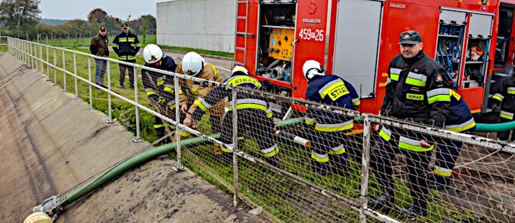 Strażacy w ZGO. W akcji zastępy z wszystkich jednostek gminy Jarocin - Zdjęcie główne