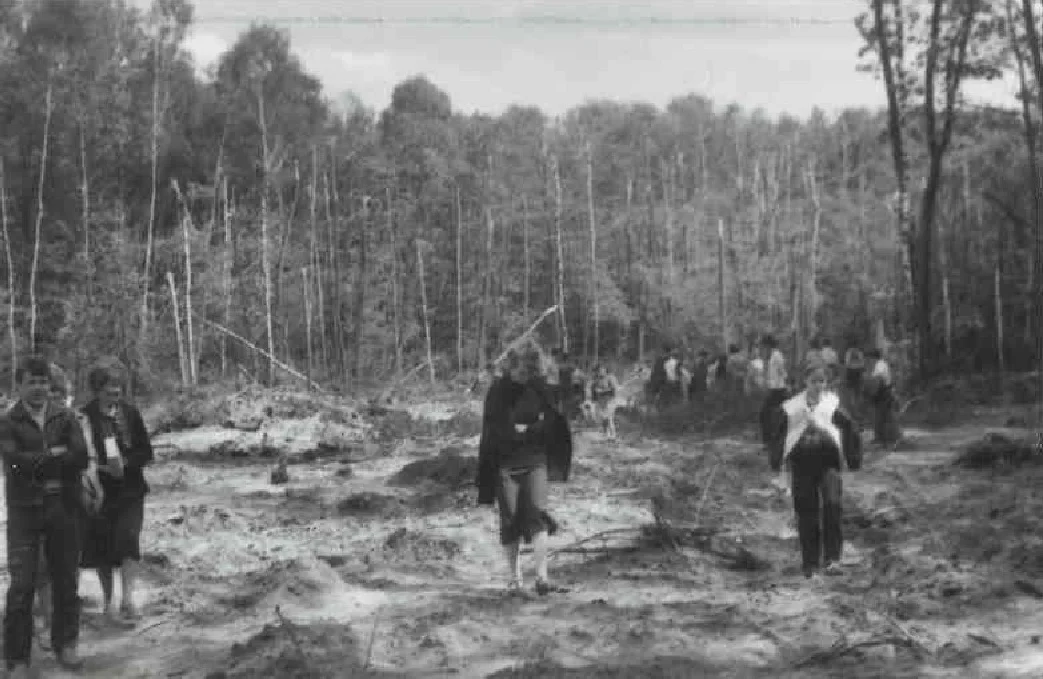 Miejsce katastrofy w lesie kabackim