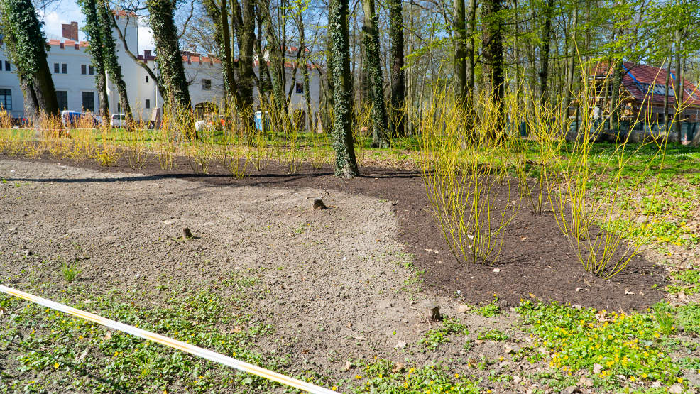 Park Radolińskich zmienia swój wygląd. Zobacz, co się dzieje