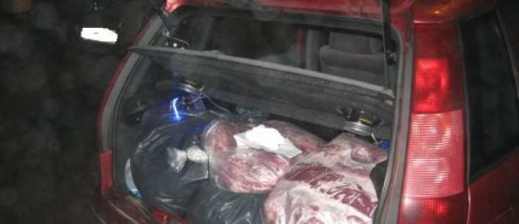 Skradli kilka ton mięsa  - Zdjęcie główne