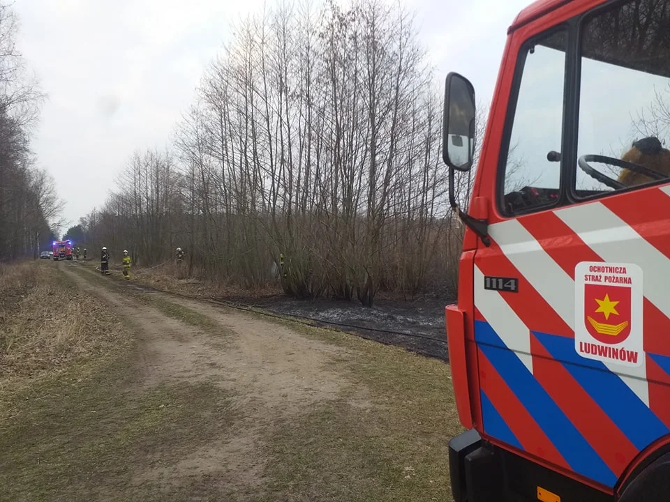 Pożarowa środa w Jarocinie i okolicy. Jedna osoba z poparzeniami w szpitalu