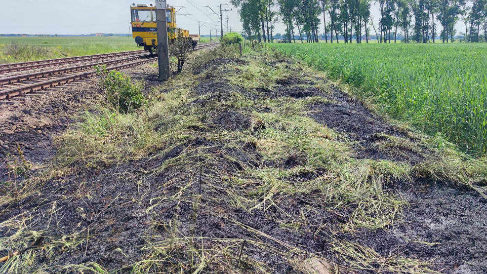 Pożar trawy i plama oleju na drodze [GALERIA]