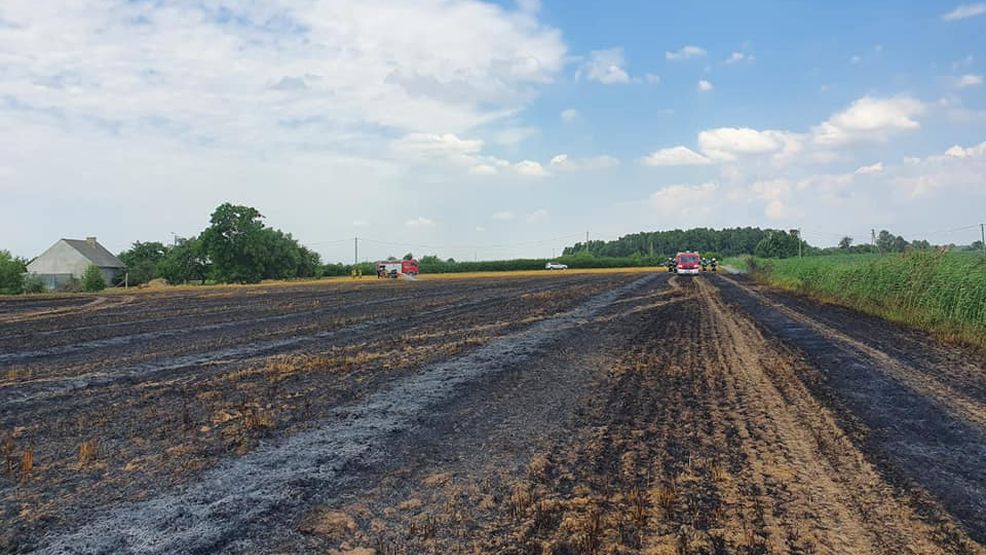 Pożary zboża w Cerkwicy Nowej i Wilczyńcu