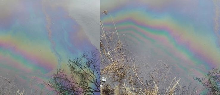 Tajemnicza plama na stawie. Coś wyciekło do akwenu?  - Zdjęcie główne