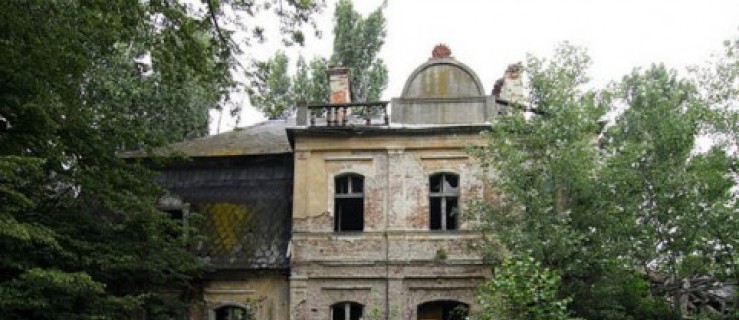 Powiat jarociński kupił zabytkowy pałac - Zdjęcie główne