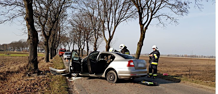 Auto uderzyło w drzewo. Dwie osoby ranne - Zdjęcie główne