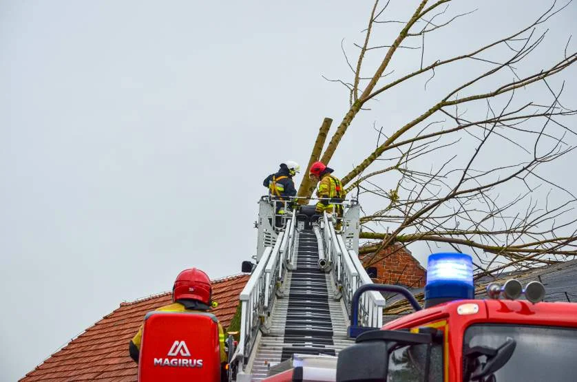 Silny wiatr w Jarocinie i okolicy. Powalone drzewa, zerwane panele fotowoltaiczne [ZDJĘCIA]  - Zdjęcie główne