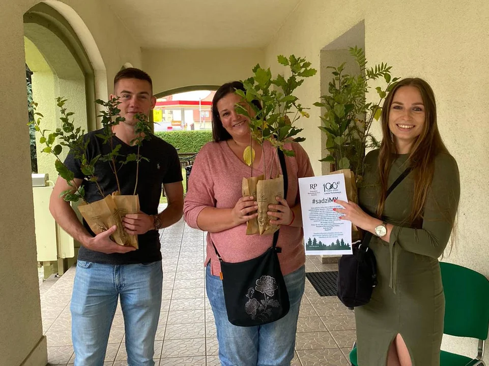 Darmowe drzewka od Nadleśnictwa Jarocin. Akcja #sadziMY w piątek - Zdjęcie główne