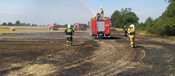  Najpierw podpalał, a potem wzywał strażaków  - Zdjęcie główne