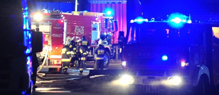 Pożar w tartaku. Straż w akcji - Zdjęcie główne