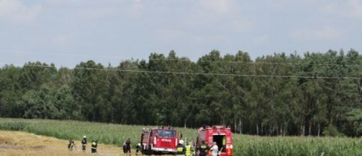  Pożar zboża [WIDEO] - Zdjęcie główne