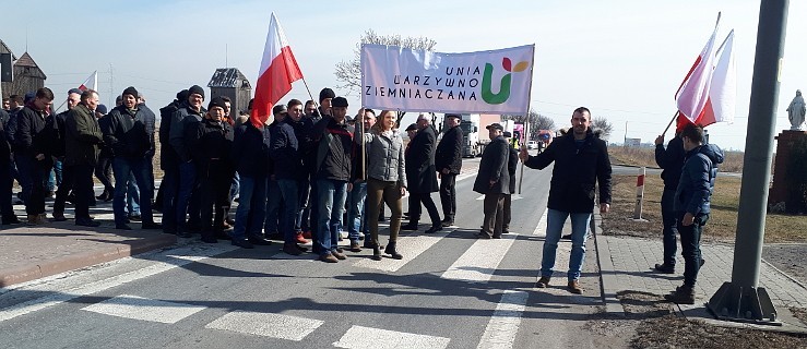 Rolnicy wyszli na drogę, bo spadają ceny trzody chlewnej [WIDEO]  - Zdjęcie główne