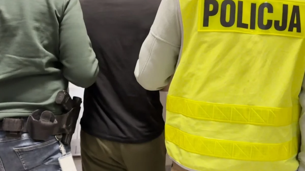 Policja rozbiła nielegalny proceder. 35-latek wykonywał niemal 100 przeglądów bez uprawnień