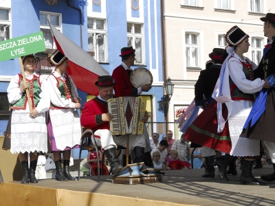 FESTIWAL FOLKLORYSTYCZNY  - Zdjęcie główne