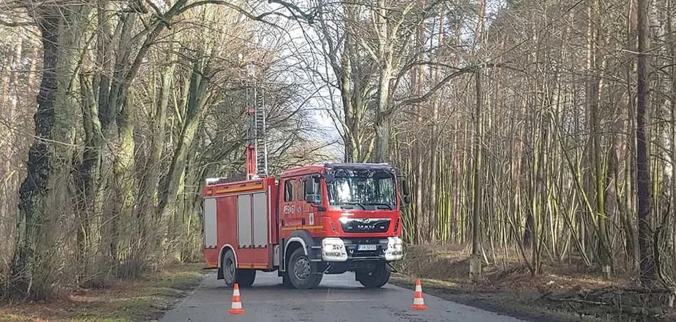 Ostrzeżenie meteorologiczne drugiego stopnia. Burze, silne opady deszczu i wiatr - Zdjęcie główne