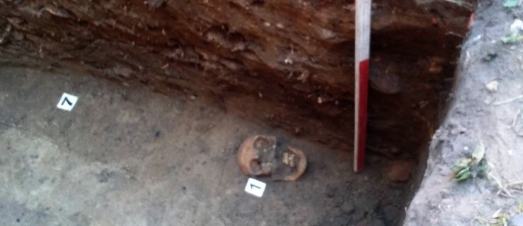 Znaleziono ludzkie szczątki w kościele  - Zdjęcie główne