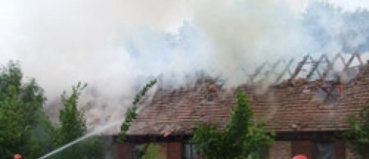 Strażacy znów gasili pożar na Bogusławiu. WIDEO - Zdjęcie główne