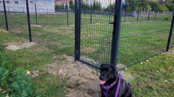 Перший собачий парк у Яроцині готовий - Zdjęcie główne