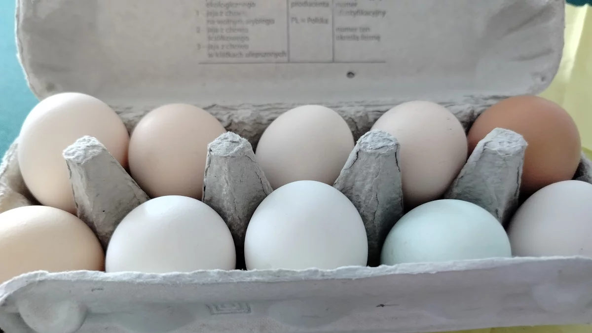 Za jajka więcej, masło tanieje! Co zdrożało, a co staniało na Wielkanoc?