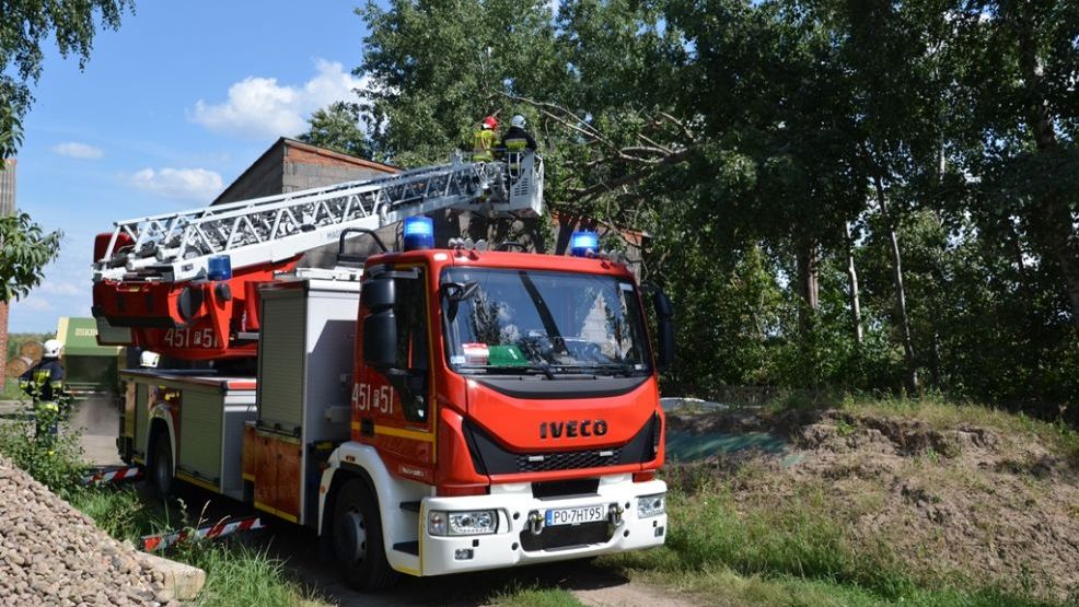 Drzewo przewróciło się na budynek gospodarczy