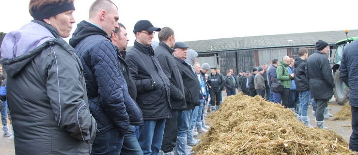 Jak żywić krowy i jaki wybrać wóz paszowy? - Zdjęcie główne