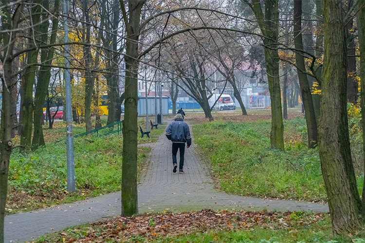 Park na Szubiankach w Jarocinie będzie rewitalizowany