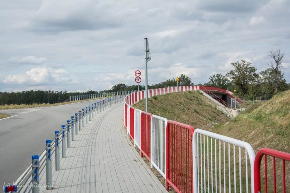 Łącznik między Jarocinem a Wilkowyją