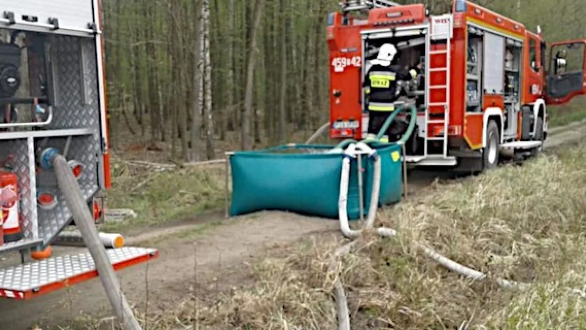 Pożar lasu pod Jarocinem. Strażacy walczą z płomieniami