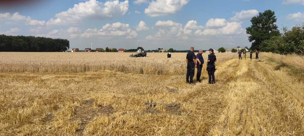 Auto osobowe dachowało w zbożu w Dąbrowie 