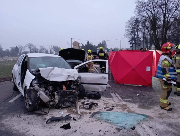 Jarocińscy strażacy pierwsi na śmiertelnym wypadku na DK 11 koło Kępna - Zdjęcie główne
