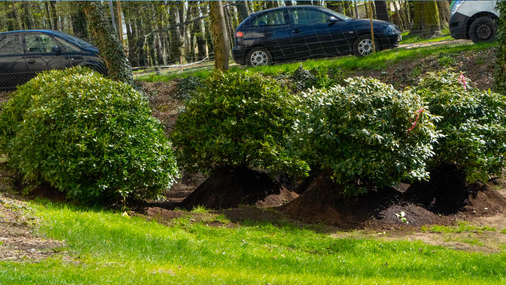 Park Radolińskich zmienia swój wygląd. Zobacz, co się dzieje