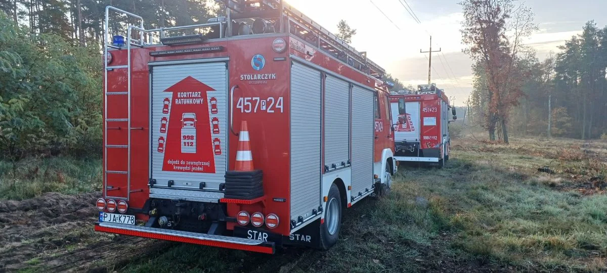 Śmiertelne potrącenie na torach pomiędzy Jarocinem a Mieszkowem - Zdjęcie główne