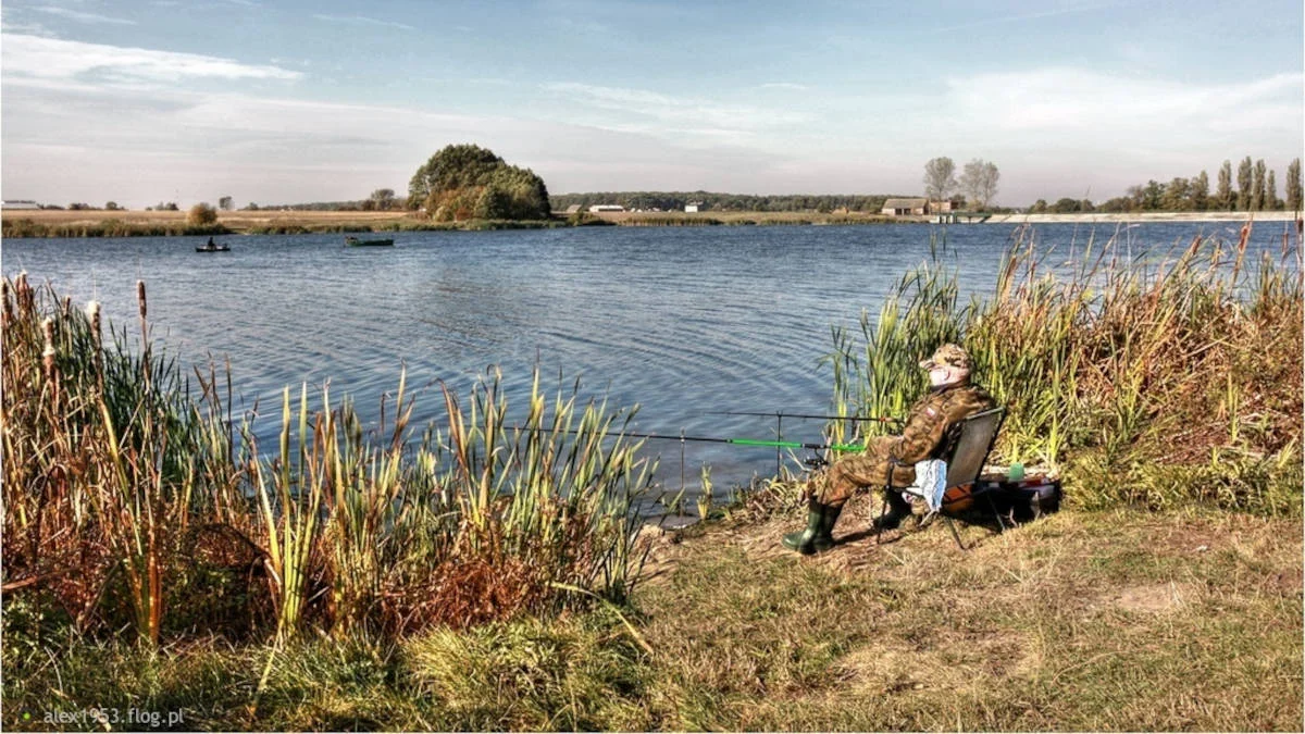 Jak zagospodarować teren rekreacyjny nad zalewem w Roszkowie? Termin spotkania konsultacyjnego przełożony - Zdjęcie główne