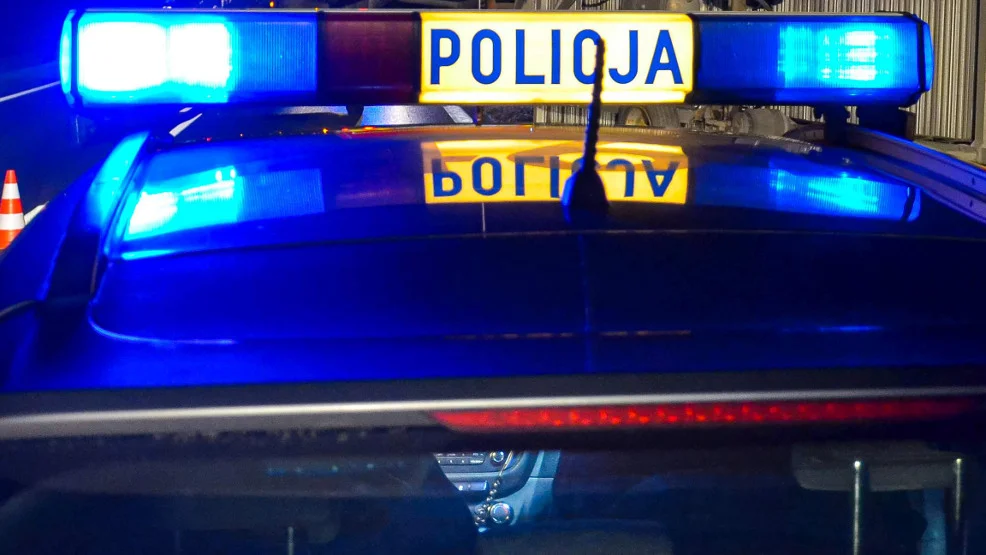 W nocy policjanci i strażacy przeczesywali las w Witaszyczkach - Zdjęcie główne