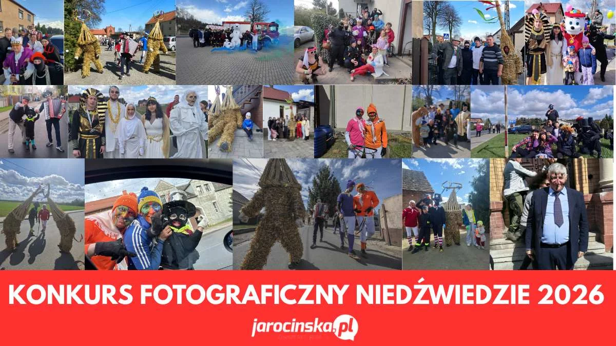 Rozstrzygnięcie konkursu Niedźwiedzie 2026. Kto wygrał główną nagrodę? [WYNIKI, ZDJĘCIA]