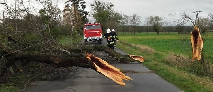 Przechodzi orkan Grzegorz. Łamie drzewa i uszkadza dachy  - Zdjęcie główne