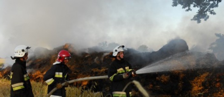 Pożar zboża na pniu w Kruczynku [AKTUALIZACJA] - Zdjęcie główne