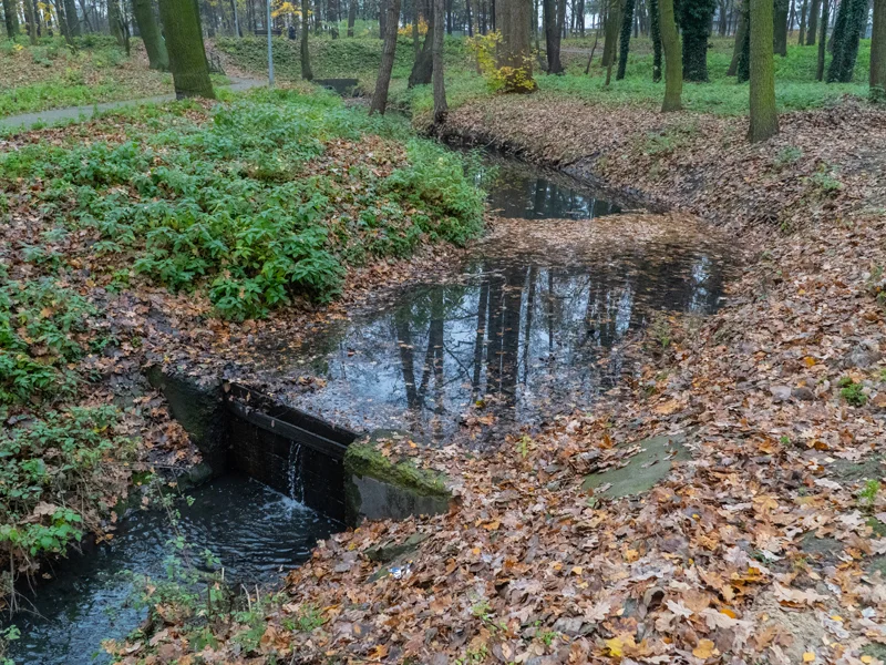 Park na Szubiankach w Jarocinie będzie rewitalizowany