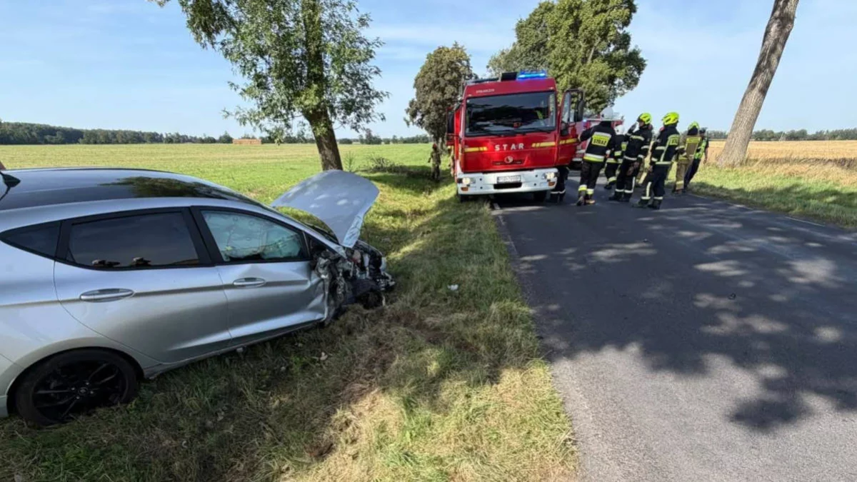 Zderzenie dwóch aut w gminie Nowe Miasto. Są poszkodowani, służby w akcji