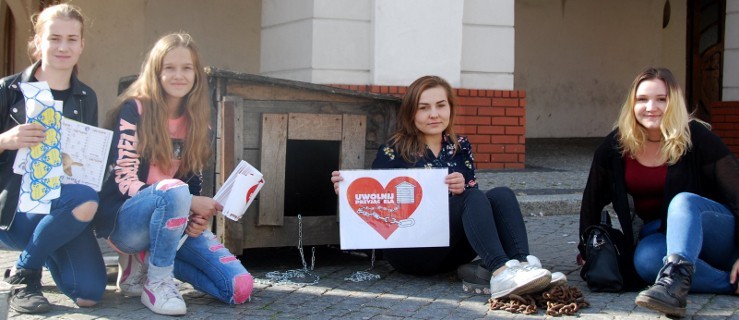 Udana akcja schroniska w Radlinie. Uświadomili ludzi, zebrali pieniądze - Zdjęcie główne