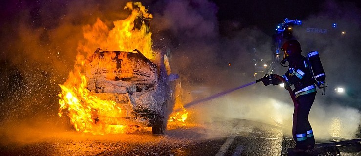  Wypadki, kot na drzewie, krowa uwięziona w szambie. Strażackie podsumowanie tygodnia  - Zdjęcie główne