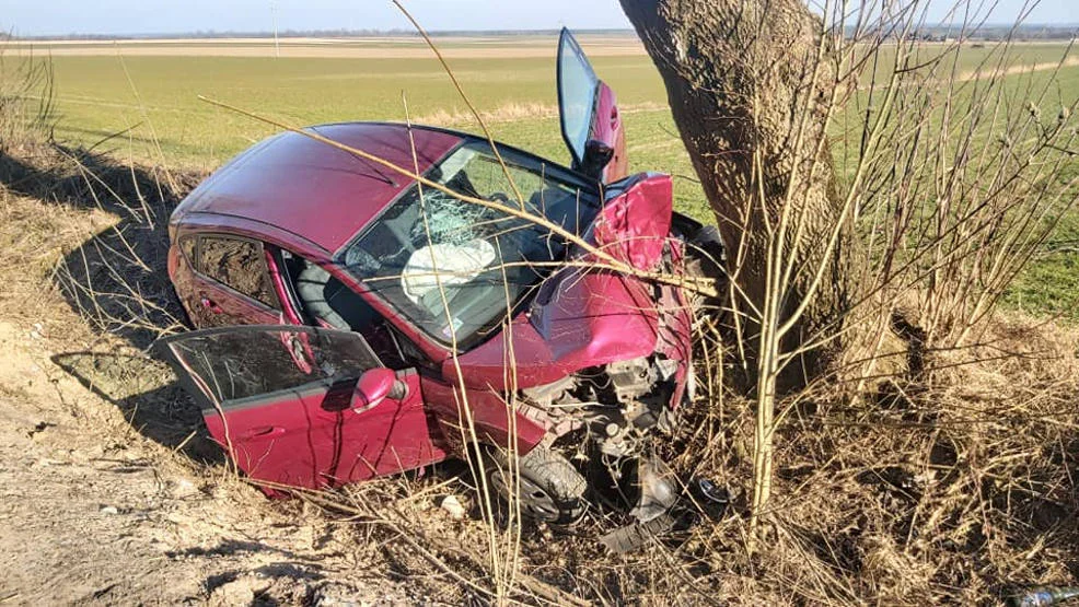 Zdarzenie drogowe w Żerkowie. Zderzenie z drzewem - Zdjęcie główne