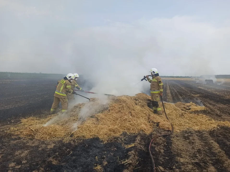 Pożar prasy rolującej i ścierniska w Potarzycy - Zdjęcie główne